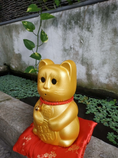camera-nguy-trang-meo-than-tai-lucky-cat-dq2020812225858