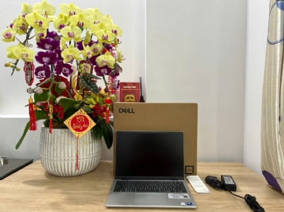 Máy tính xách tay Dell Pro 14 Essential PV14250, Intel Core 5 120U (10 cores, up to 5.0 GHz), 16GB, 512GB SSD, 14 (1920x1200), 4 Cells, Win 11