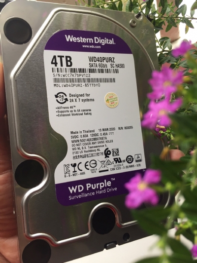 vitinhdongquan_o-cung-lap-trong-western-digital-4tb-35-sata3-mau-tim-purple-wd40purz_thumb_09252021_112527.jpg