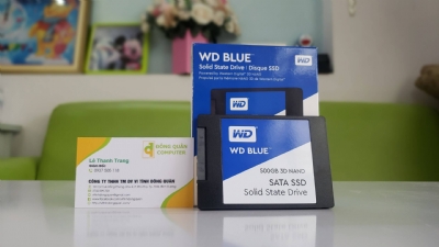 vitinhdongquan_o-cung-ssd-wd-blue-500gb-wds500g2b0a_thumb_08172021_091745.jpg