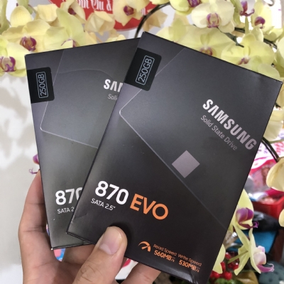 vitinhdongquan_ssd-samsung-250g-870evo-25-mz77e250bw_thumb_18362023_013600.jpg